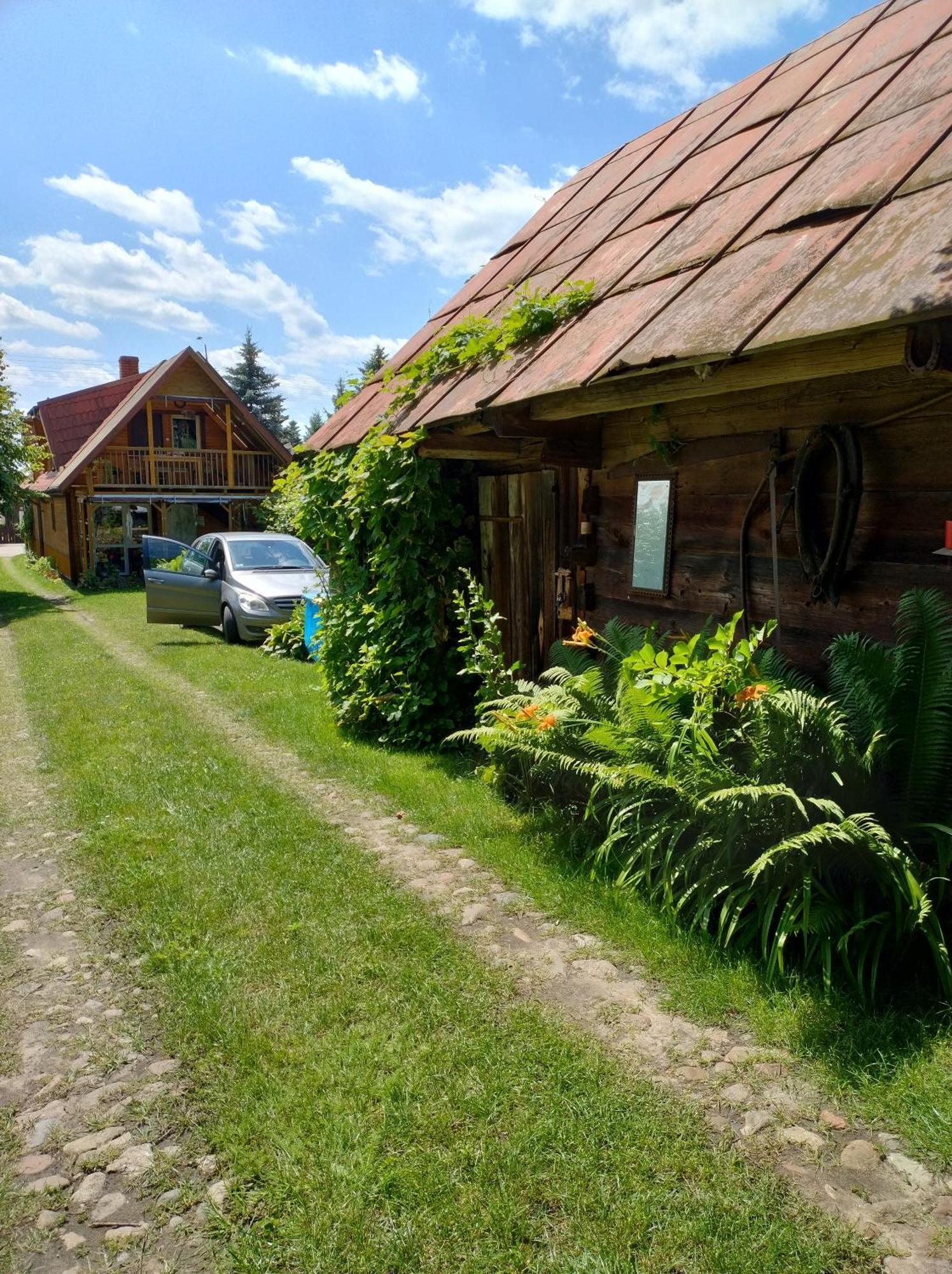 Dom Sloneczko Pokoje Do Wynajecia W Bialowiezy Białowieża Exterior foto